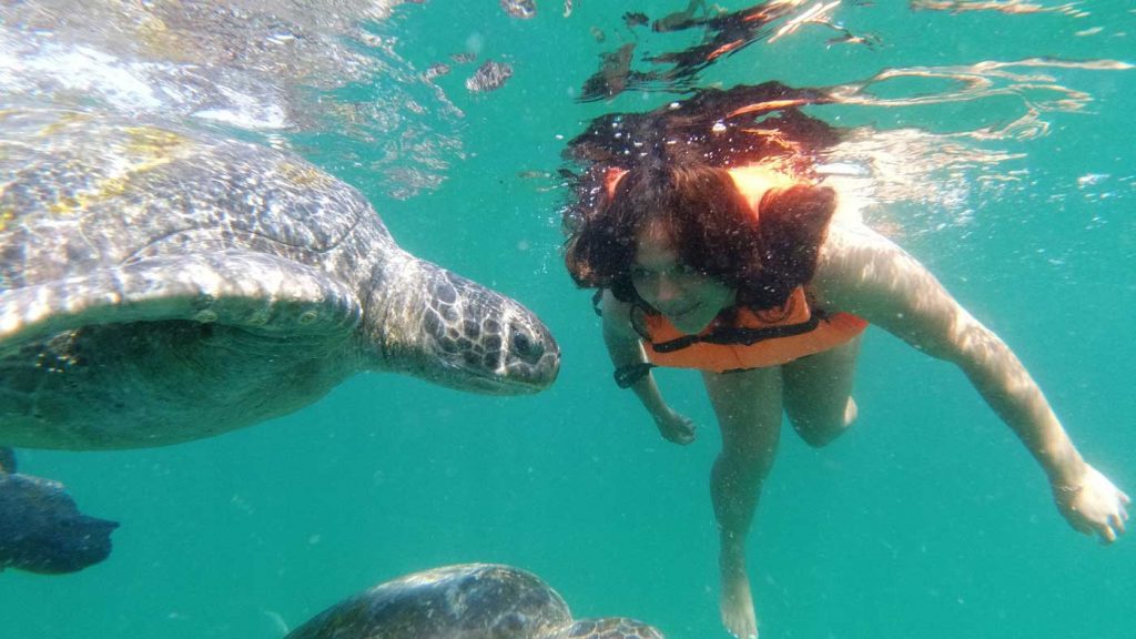 tour nado tortugas mancora