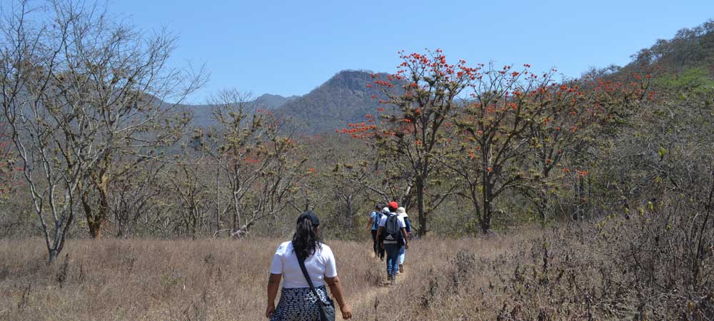 tour Las Tinajas en Chongoyape