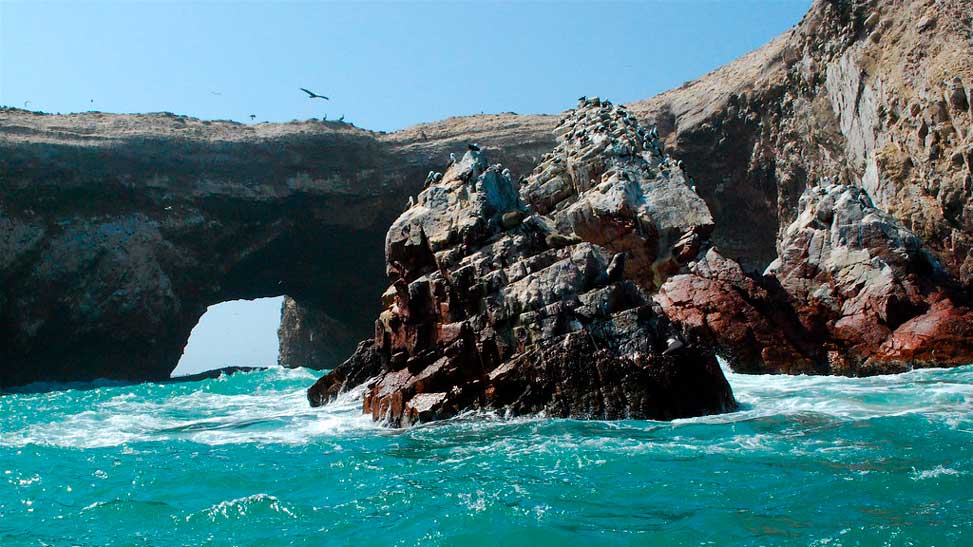 tour Ica Paracas Lima