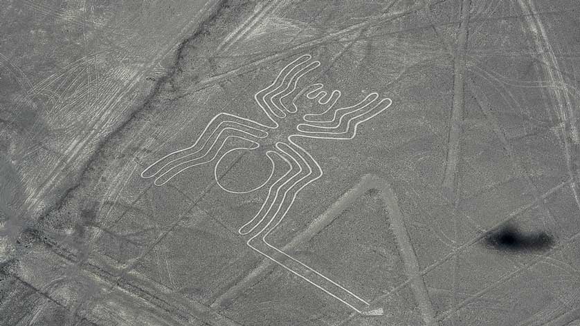 Lineas-de-nasca-visitas-web